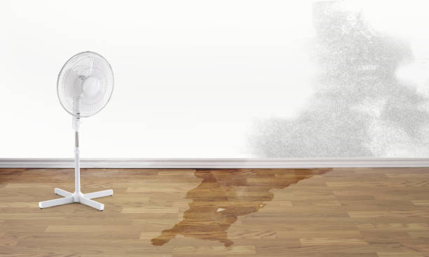 Best Commercial water damage restoration  in Brookmont, MD
