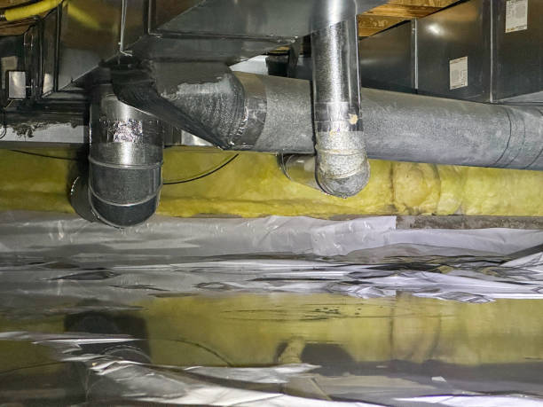 Best Residential water damage restoration  in Brookmont, MD