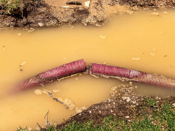 Reliable MD Water damage restoration Solutions