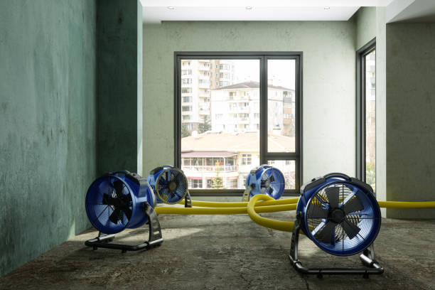 Best Water damage restoration mold remediation  in Brookmont, MD