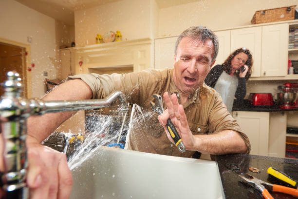 Best Flood damage cleanup  in Brookmont, MD